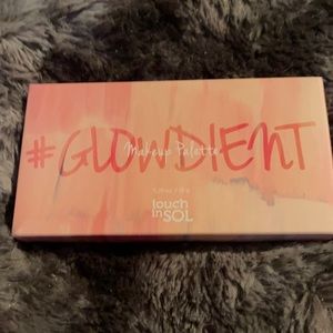 ⭐️NEW Touch inSol Pretty Filter GlowdientPalette⭐️